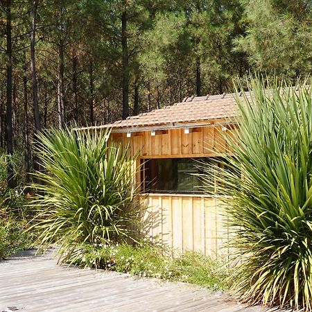 Vila Vacances Ocean Maison Bois Lege Cap Ferret 1-4P Exteriér fotografie